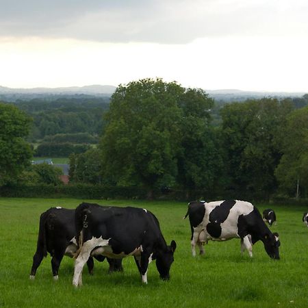 Ballindrum Farm B&B Athy Εξωτερικό φωτογραφία