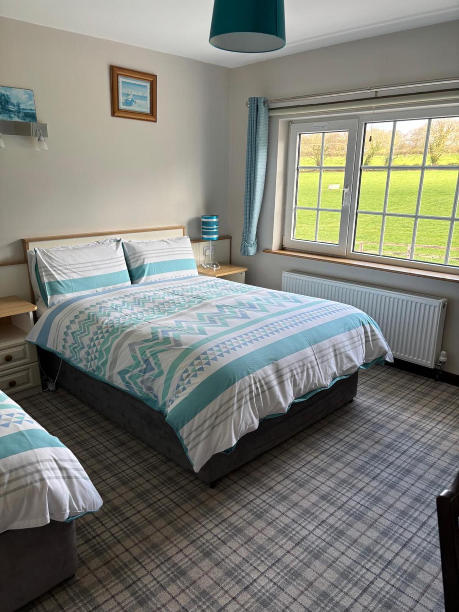 Ballindrum Farm B&B Athy Εξωτερικό φωτογραφία