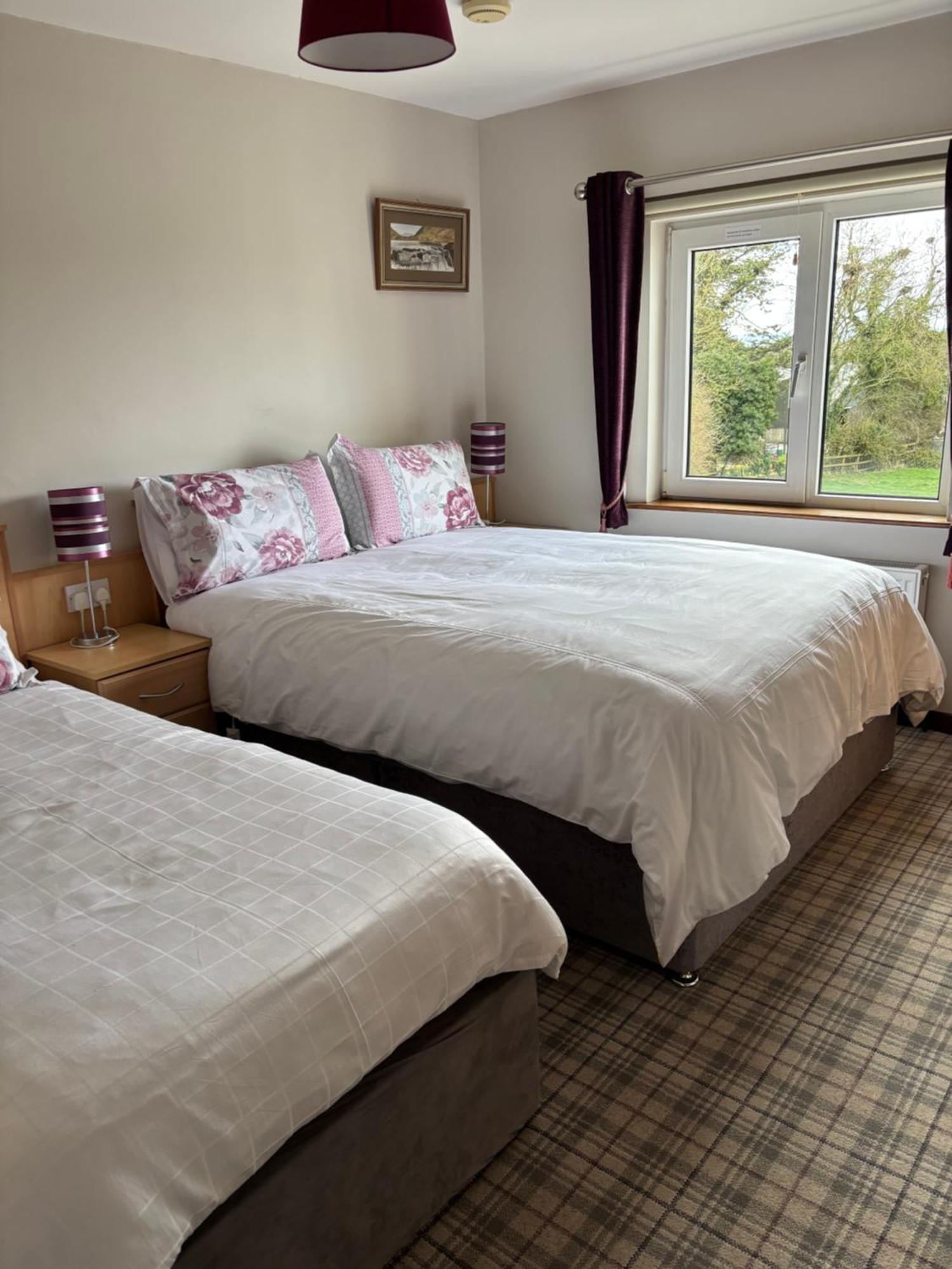Ballindrum Farm B&B Athy Εξωτερικό φωτογραφία