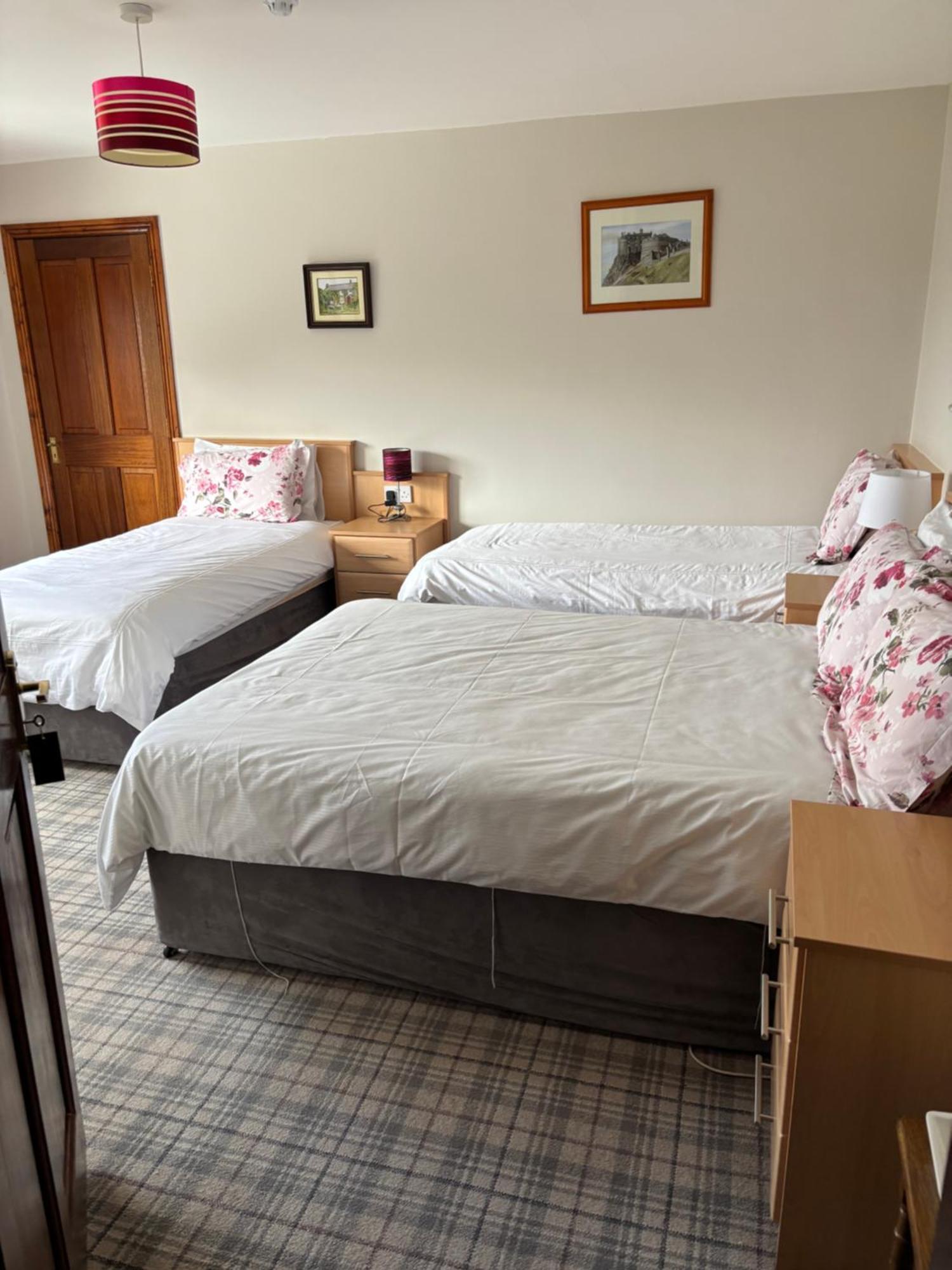 Ballindrum Farm B&B Athy Εξωτερικό φωτογραφία